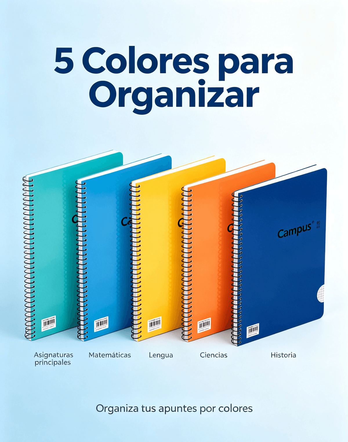 Cuadernos Campus A4 en pack de 5 colores, ideales para organizar apuntes y estudiar, con cuadrícula de 4 mm.