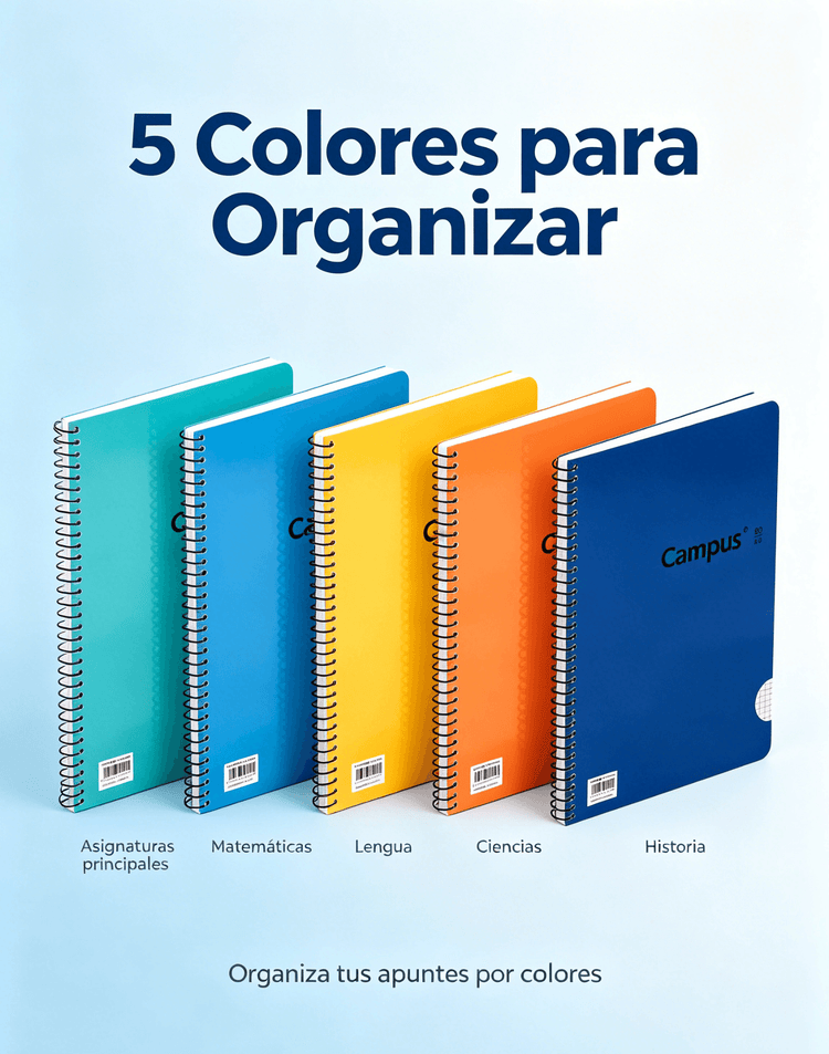 Cuadernos Campus A4 en pack de 5 colores, ideales para organizar apuntes y estudiar, con cuadrícula de 4 mm.